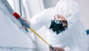 Best Real Estate Pest Inspections  in Altamont, NY